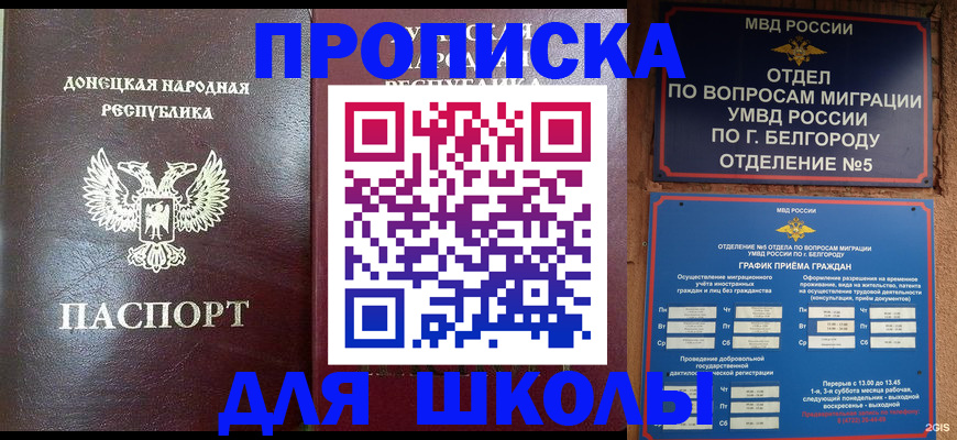 прописка для работы в Торопеце